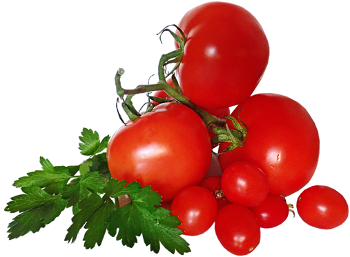 tomate